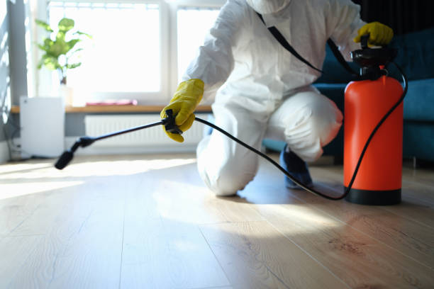 Reliable Sewage Cleanup contractor in Thousand Palms, CA by Dulley Family Biohazard Services